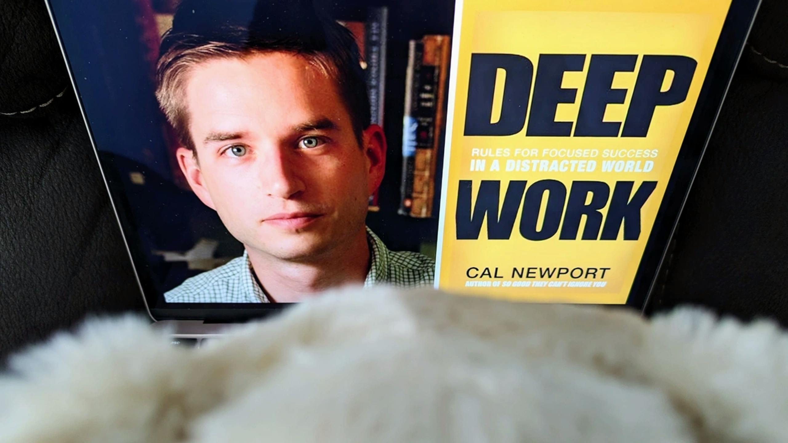Bear looking at a copy of Cal Newport's DEEP WORK