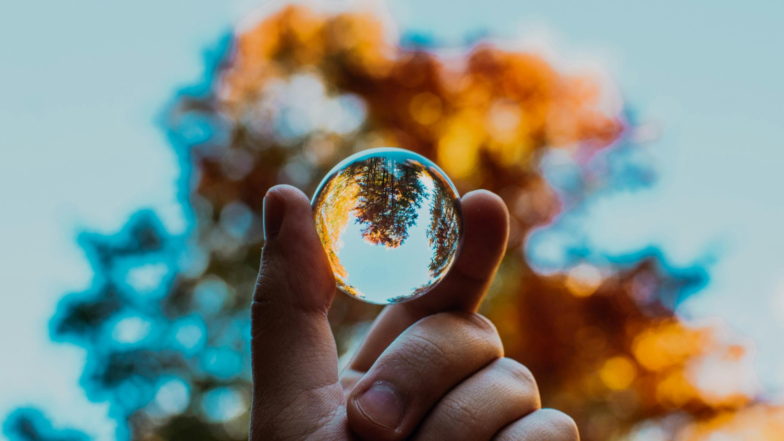 Glass ball reflecting trees