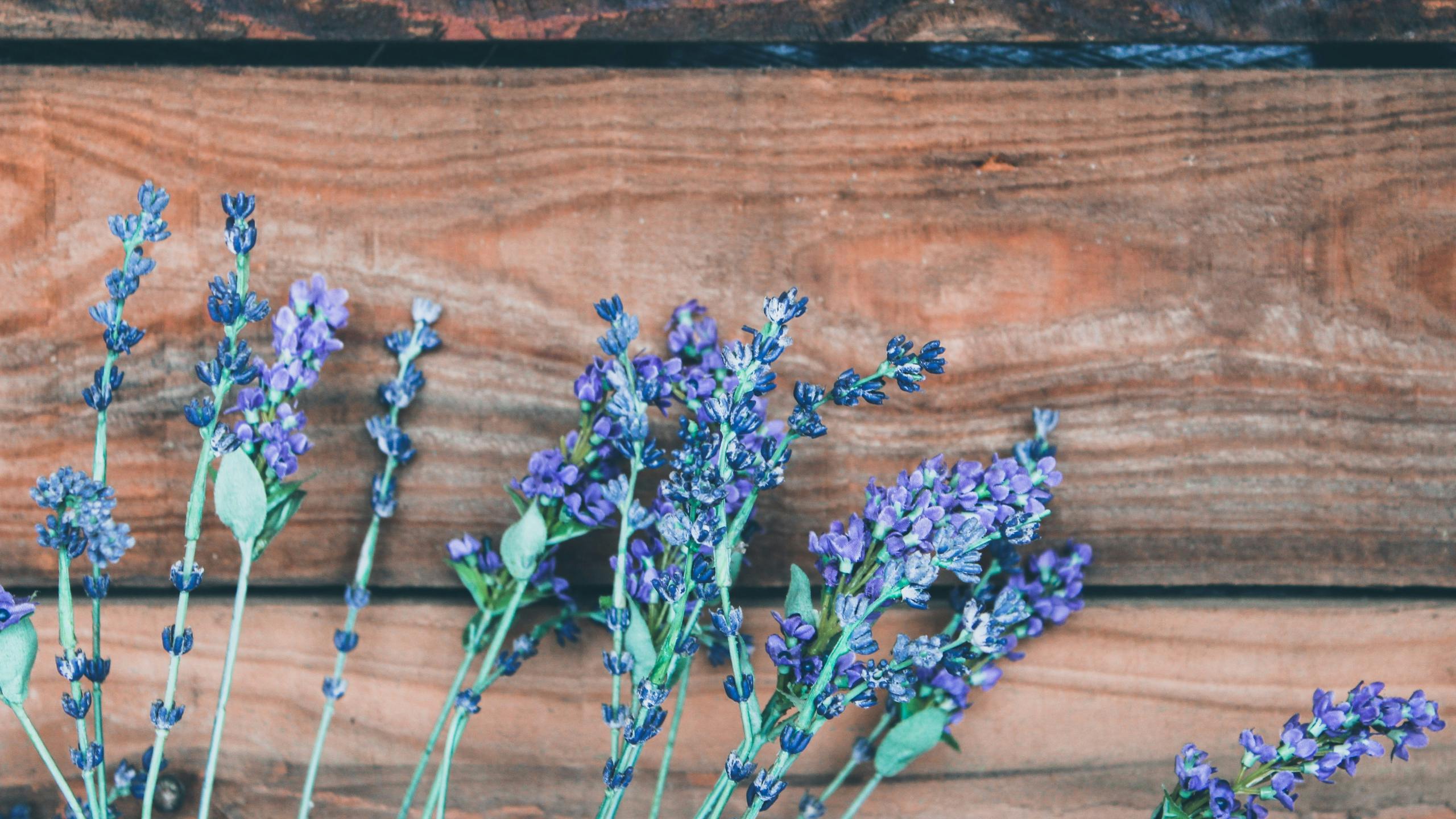 Sprigs of lavender on a table.