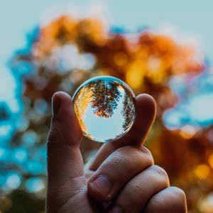 Glass ball reflecting trees