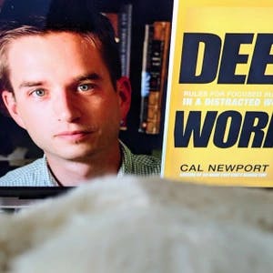 Bear looking at a copy of Cal Newport's DEEP WORK